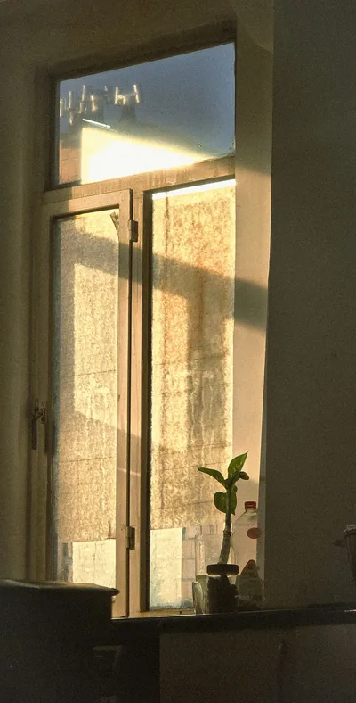 Morgenlicht am Fenster mit Pflanze
