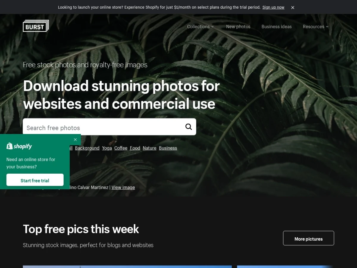 Screenshot der Stockfoto-Seite Burst von Shopify